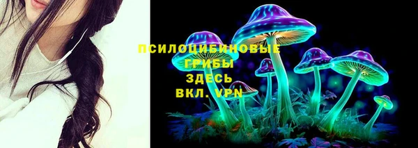 a pvp Абаза