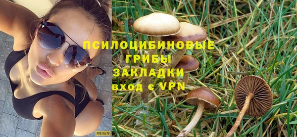 гашик Абинск