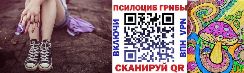 Псилоцибиновые грибы Psilocybe где найти наркотики Нариманов